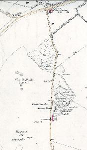 California in 1880